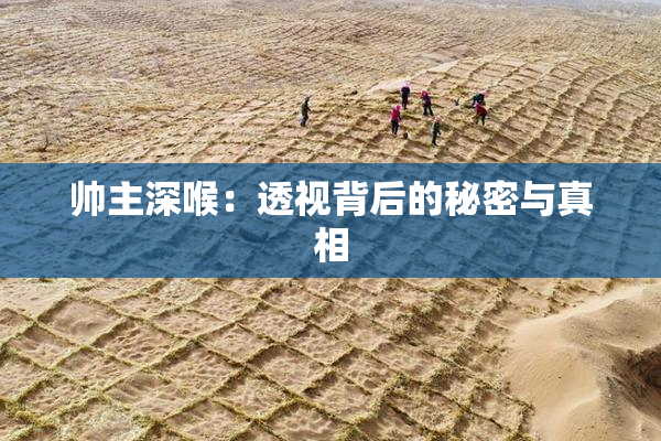 帅主深喉：透视背后的秘密与真相