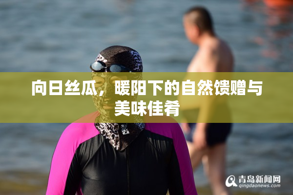 向日丝瓜，暖阳下的自然馈赠与美味佳肴