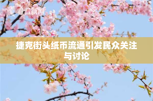 捷克街头纸币流通引发民众关注与讨论