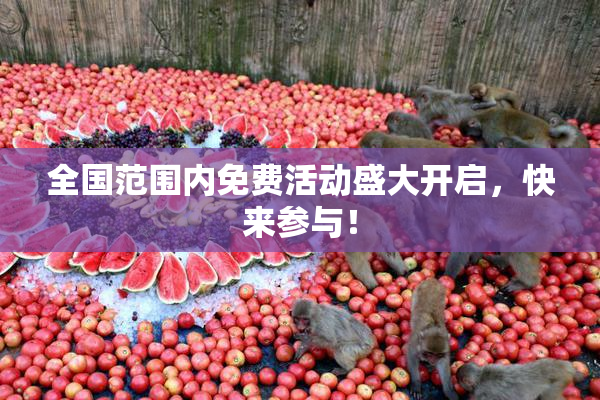 全国范围内免费活动盛大开启，快来参与！