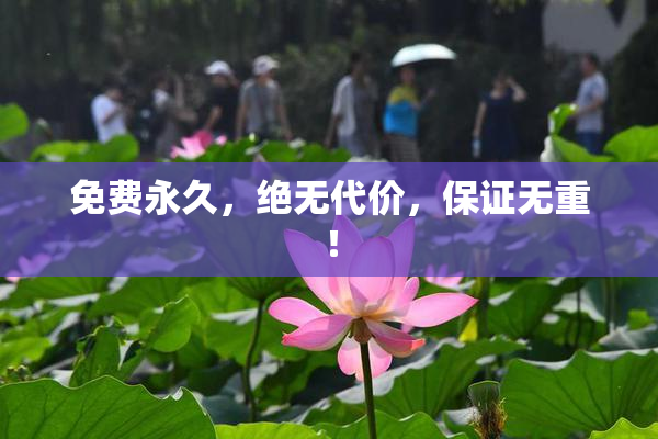 免费永久，绝无代价，保证无重！