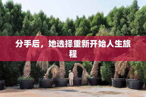分手后，她选择重新开始人生旅程