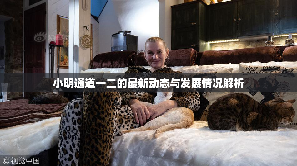 小明通道一二的最新动态与发展情况解析