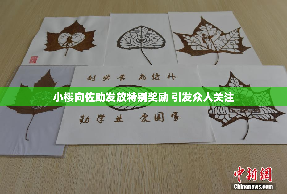 小樱向佐助发放特别奖励 引发众人关注