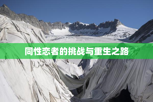 同性恋者的挑战与重生之路
