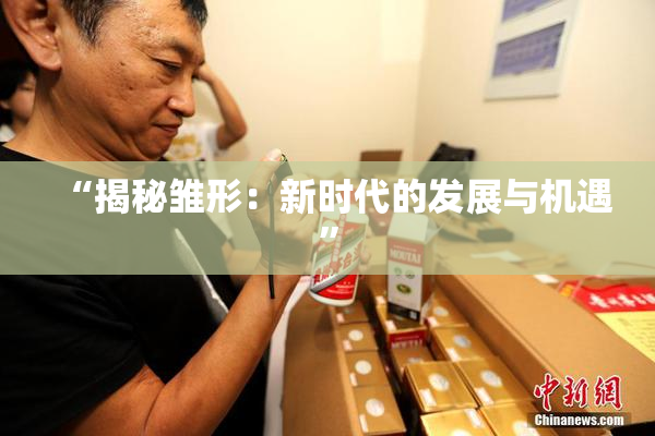 “揭秘雏形：新时代的发展与机遇”