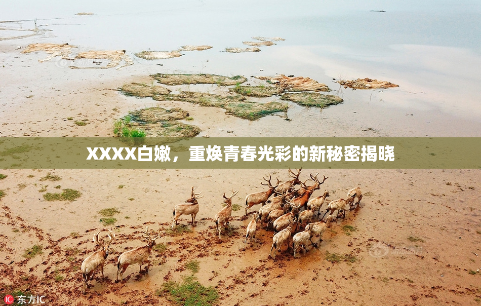 XXXX白嫩，重焕青春光彩的新秘密揭晓