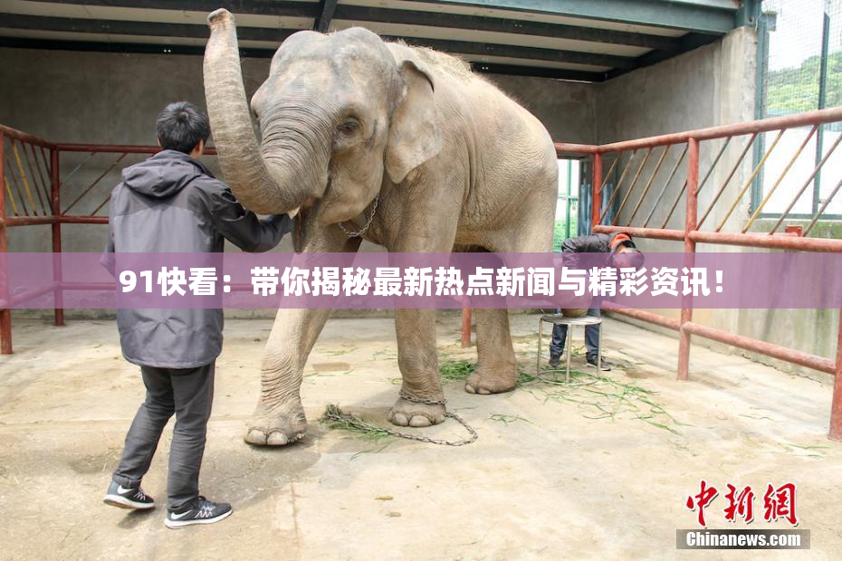91快看：带你揭秘最新热点新闻与精彩资讯！
