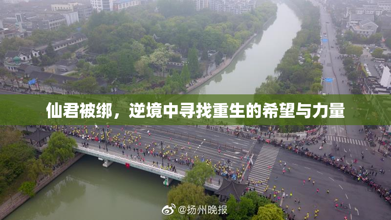 仙君被绑，逆境中寻找重生的希望与力量