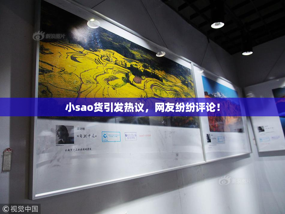小sao货引发热议，网友纷纷评论！