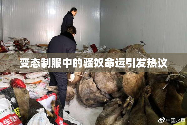 变态制服中的骚奴命运引发热议