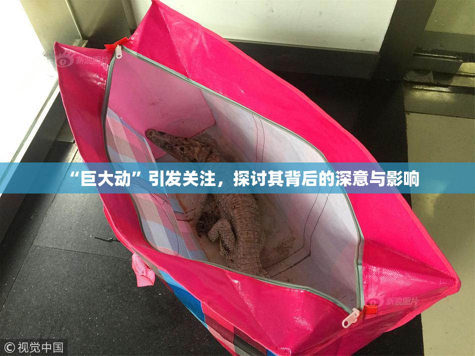 “巨大动”引发关注，探讨其背后的深意与影响