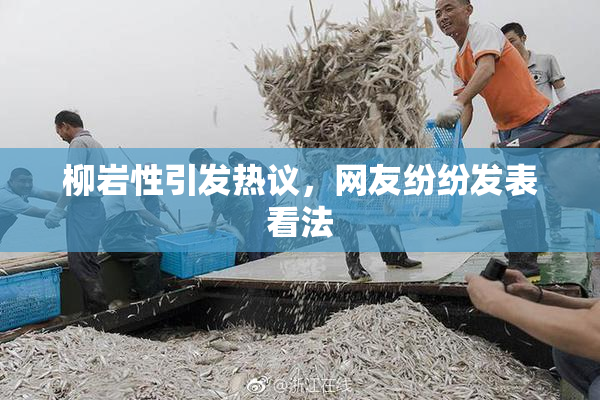 柳岩性引发热议，网友纷纷发表看法