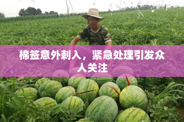 棉签意外刺入，紧急处理引发众人关注