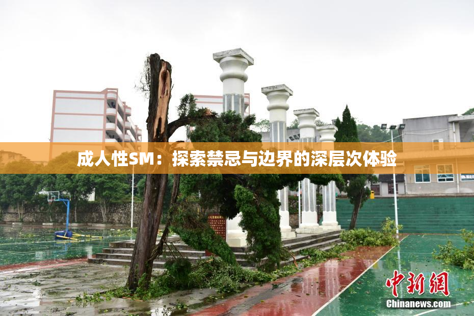成人性SM：探索禁忌与边界的深层次体验