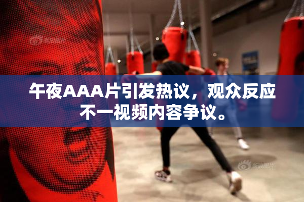 午夜AAA片引发热议，观众反应不一视频内容争议。