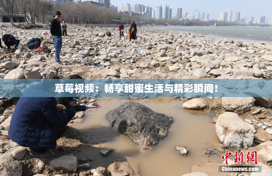 草莓视频：畅享甜蜜生活与精彩瞬间！