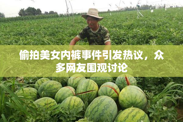 偷拍美女内裤事件引发热议，众多网友围观讨论