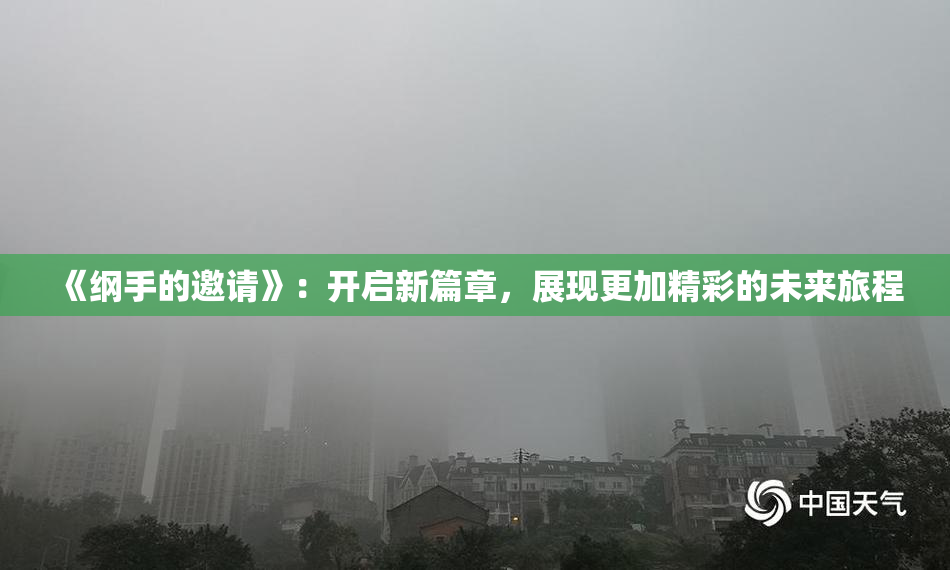 《纲手的邀请》：开启新篇章，展现更加精彩的未来旅程