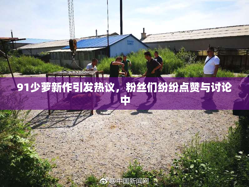 91少萝新作引发热议，粉丝们纷纷点赞与讨论中