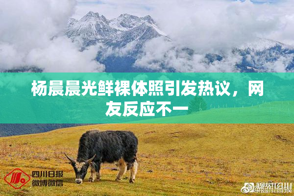 杨晨晨光鲜裸体照引发热议，网友反应不一