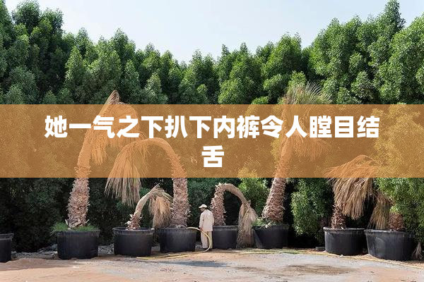 她一气之下扒下内裤令人瞠目结舌