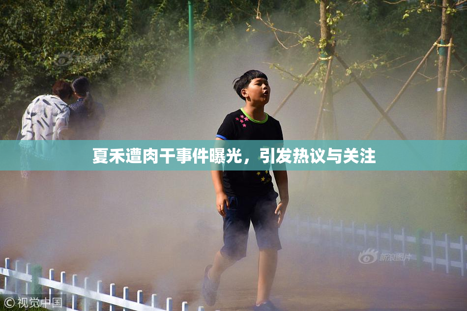 夏禾遭肉干事件曝光，引发热议与关注