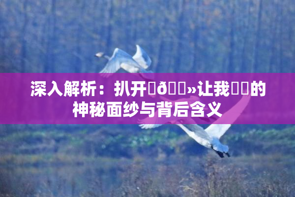 深入解析：扒开‌🐻让我❌‌的神秘面纱与背后含义
