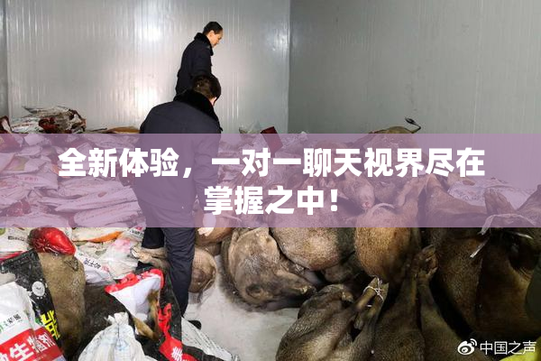 全新体验，一对一聊天视界尽在掌握之中！