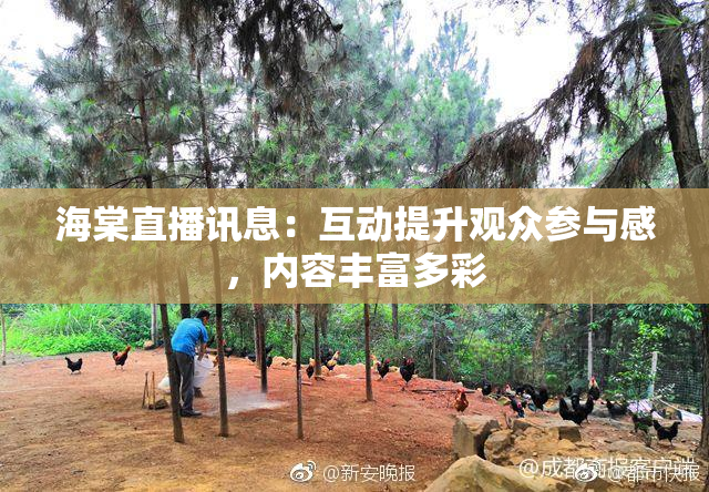 海棠直播讯息：互动提升观众参与感，内容丰富多彩