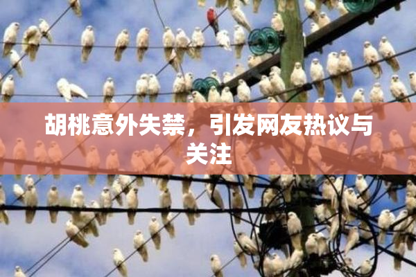 胡桃意外失禁，引发网友热议与关注