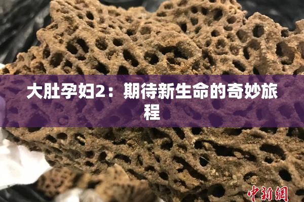 大肚孕妇2：期待新生命的奇妙旅程