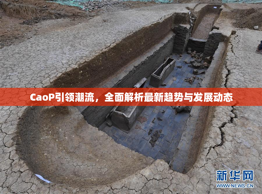 CaoP引领潮流，全面解析最新趋势与发展动态