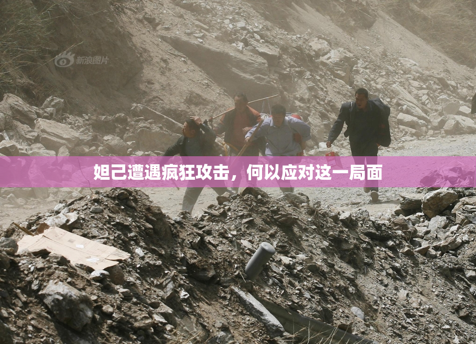 妲己遭遇疯狂攻击，何以应对这一局面