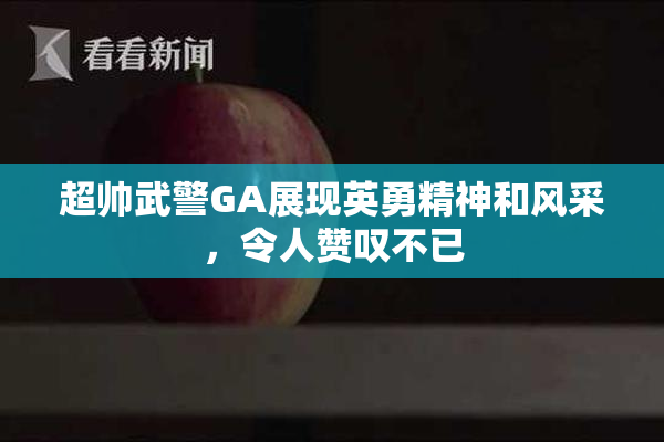 超帅武警GA展现英勇精神和风采，令人赞叹不已
