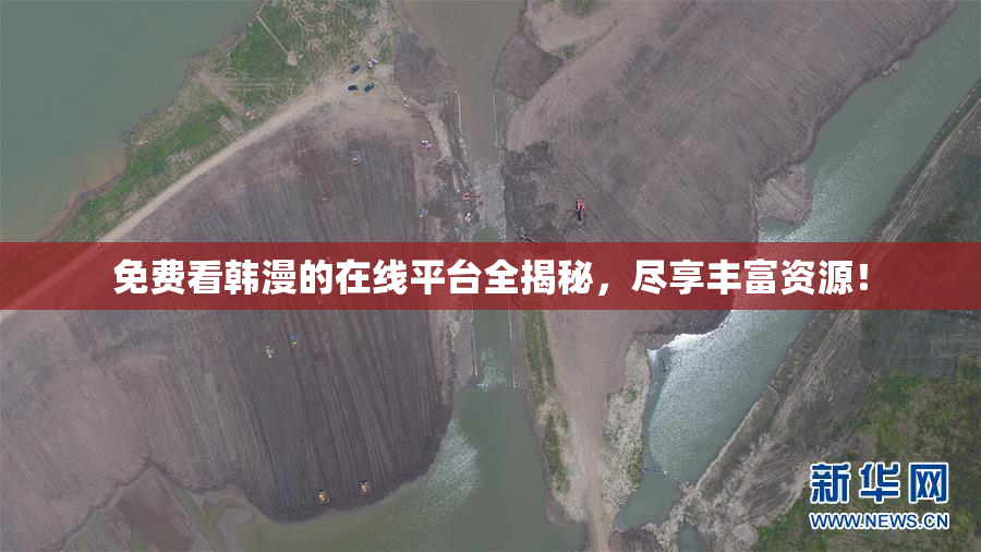 免费看韩漫的在线平台全揭秘，尽享丰富资源！