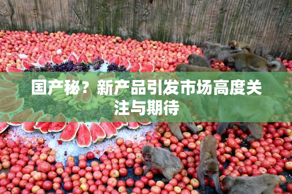 国产秘？新产品引发市场高度关注与期待