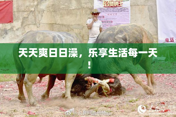 天天爽日日澡，乐享生活每一天！