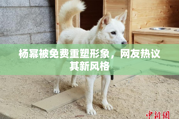 杨幂被免费重塑形象，网友热议其新风格