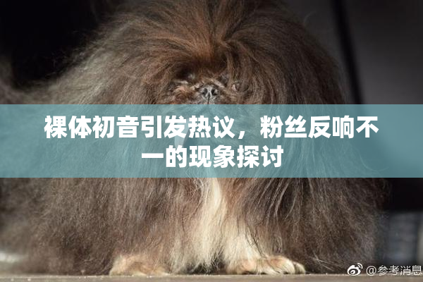 裸体初音引发热议，粉丝反响不一的现象探讨