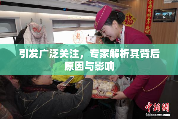 引发广泛关注，专家解析其背后原因与影响