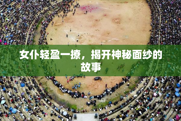女仆轻盈一撩，揭开神秘面纱的故事