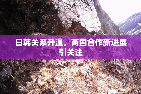 日韩关系升温，两国合作新进展引关注