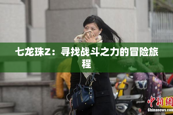 七龙珠Z：寻找战斗之力的冒险旅程