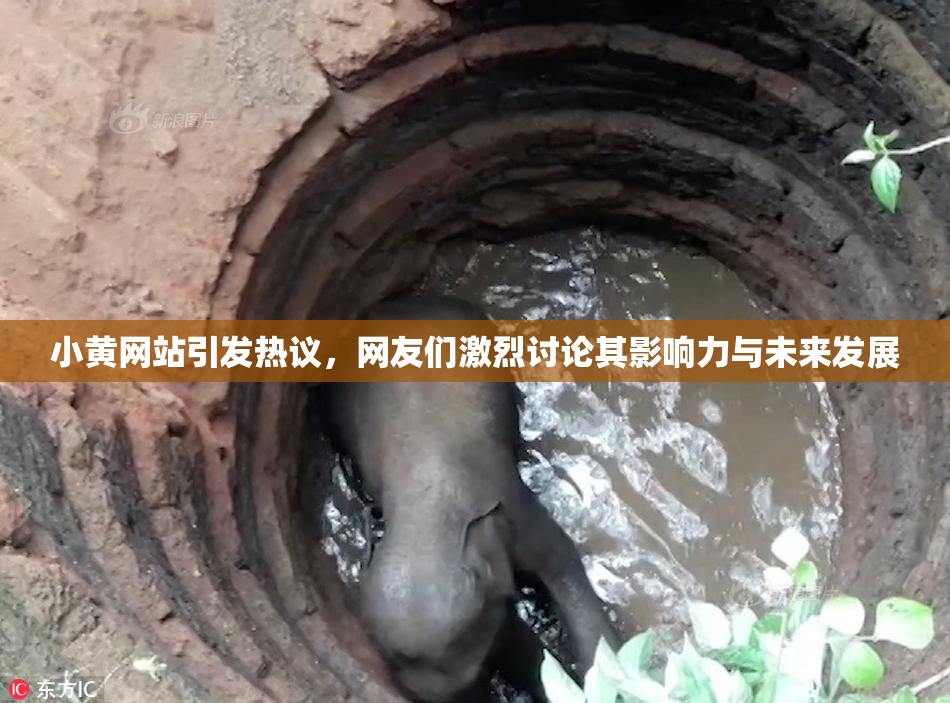 小黄网站引发热议，网友们激烈讨论其影响力与未来发展