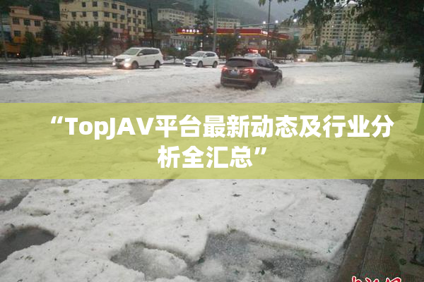 “TopJAV平台最新动态及行业分析全汇总”