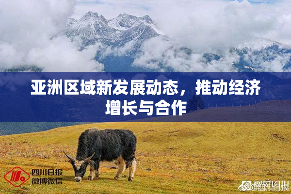 亚洲区域新发展动态，推动经济增长与合作