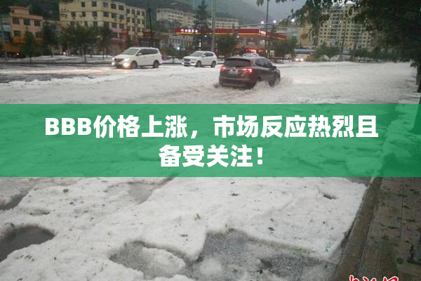 BBB价格上涨，市场反应热烈且备受关注！