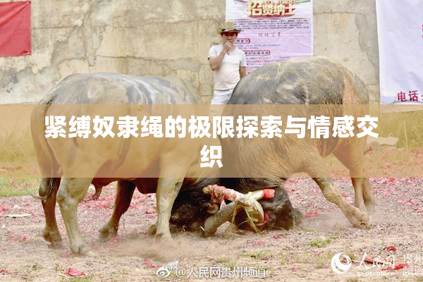 紧缚奴隶绳的极限探索与情感交织
