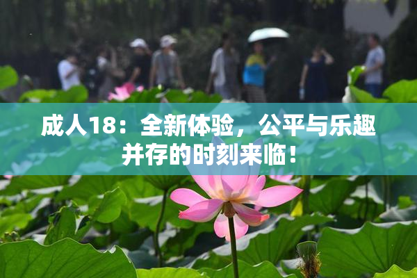 成人18：全新体验，公平与乐趣并存的时刻来临！